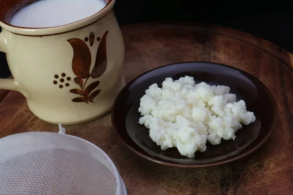 Kéfir de leche tibetano kephir granos orgánicos naturales montón de esponja con una taza de bebida fermentada fresca —  Fotos de Stock