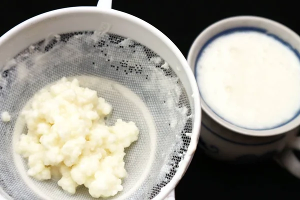 Granos de kéfir de leche, tamiz de cocina de esponja de hongo tibetano y taza de leche fermentada . —  Fotos de Stock