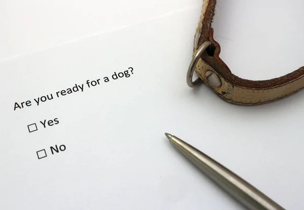 ¿Estás listo para un perro? Pregunta con opciones Sí o No . — Foto de Stock