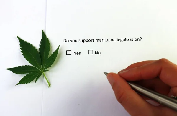 Ви підтримуєте легалізацію марихуани? Питання в опитуванні з олівцем . Ліцензійні Стокові Фото