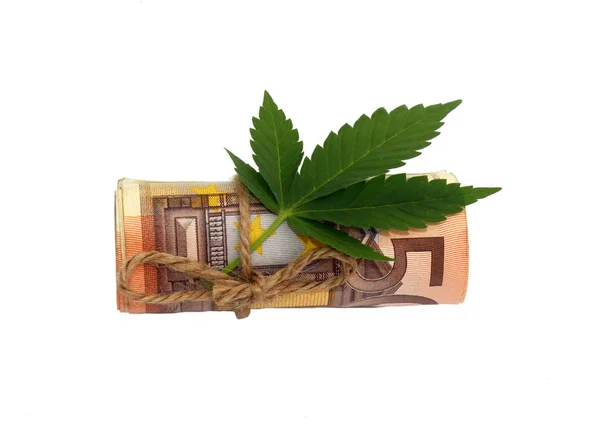 Бізнес з концепцією марихуани, банкнота в п'ятдесят євро з листом марихуани ізольовані на білому тлі — стокове фото