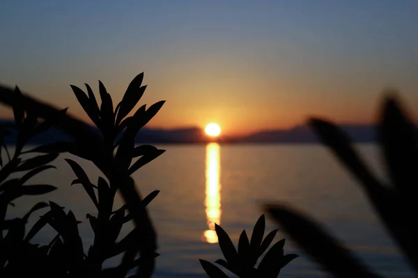 Panoramik manzaralı sakin deniz su üzerinde altın günbatımı