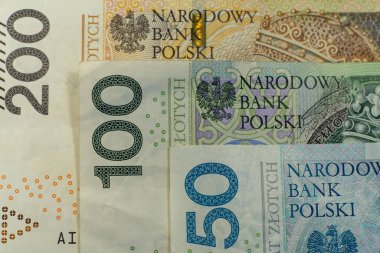 Polonya zloti banknotları. Polonya parası. PLN