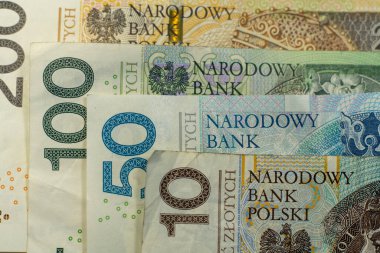 Polonya zloti banknotları. Polonya parası. PLN