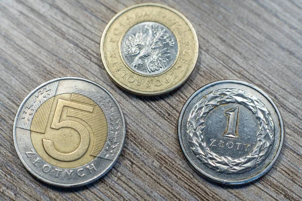 Polonya zloti banknotları. Polonya parası. PLN
