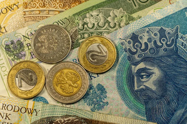 Polonya zloti banknotları. Polonya parası. PLN