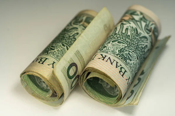 Polonya zloti banknotları. Polonya parası. PLN