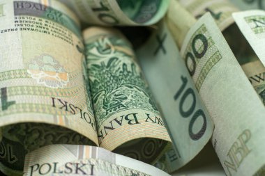 Polonya zloti banknotları. Polonya parası. PLN
