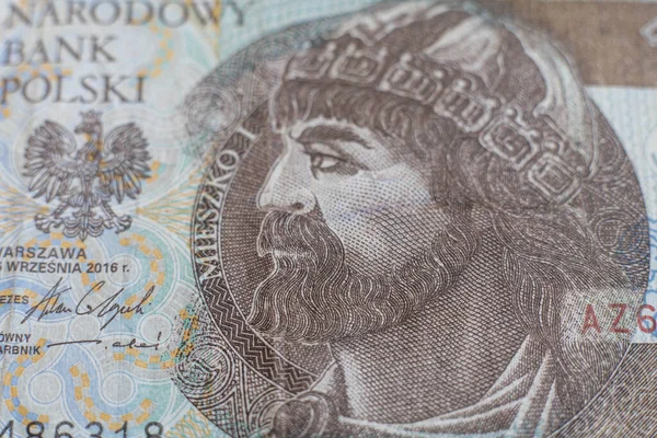 Polonya zloti banknotları. Polonya parası. PLN