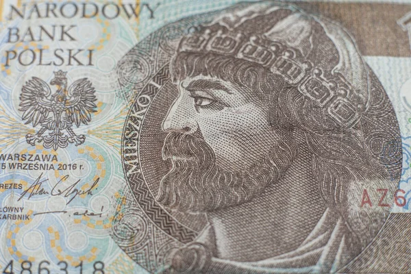 Polonya zloti banknotları. Polonya parası. PLN
