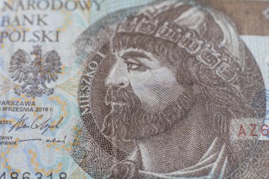 Polonya zloti banknotları. Polonya parası. PLN