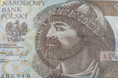 Polonya zloti banknotları. Polonya parası. PLN