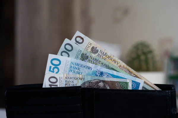 Polonya zloti banknotları. Polonya parası. PLN