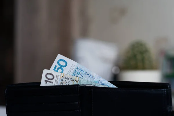 Polonya zloti banknotları. Polonya parası. PLN