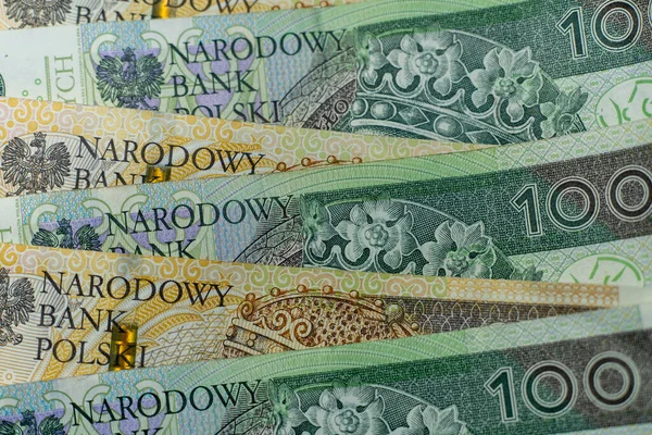 Polonya zloti banknotları. Polonya parası. PLN