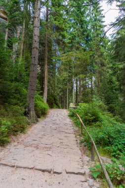 Adrspach Ulusal Parkı - Teplice harika. Rock Kasabası. Çek Cumhuriyeti