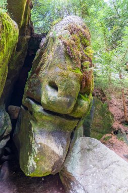 Adrspach Ulusal Parkı - Teplice harika. Rock Kasabası. Çek Cumhuriyeti