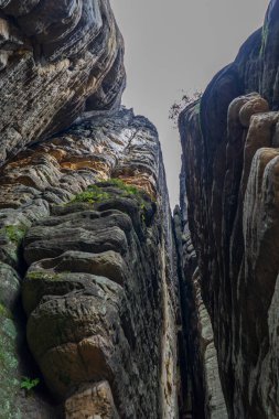 Adrspach Ulusal Parkı - Teplice harika. Rock Kasabası. Çek Cumhuriyeti