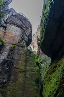 Adrspach Ulusal Parkı - Teplice harika. Rock Kasabası. Çek Cumhuriyeti