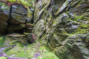 Adrspach Ulusal Parkı - Teplice harika. Rock Kasabası. Çek Cumhuriyeti