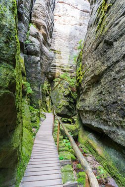 Adrspach Ulusal Parkı - Teplice harika. Rock Kasabası. Çek Cumhuriyeti