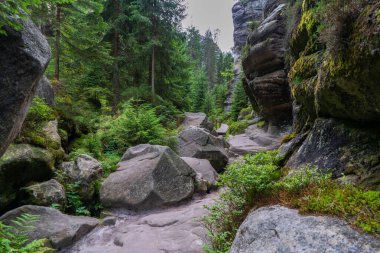 Adrspach Ulusal Parkı - Teplice harika. Rock Kasabası. Çek Cumhuriyeti