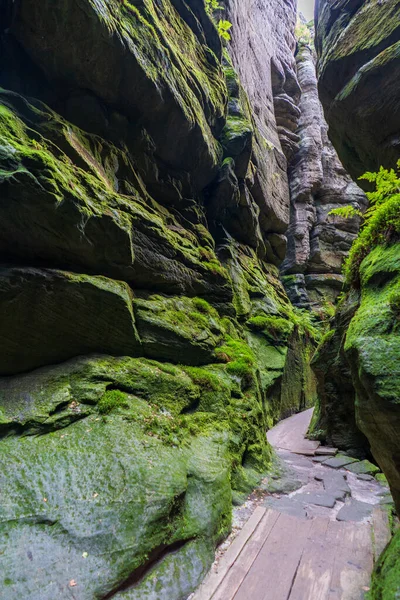 Adrspach Ulusal Parkı - Teplice harika. Rock Kasabası. Çek Cumhuriyeti