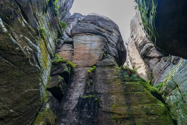 Adrspach Ulusal Parkı - Teplice harika. Rock Kasabası. Çek Cumhuriyeti