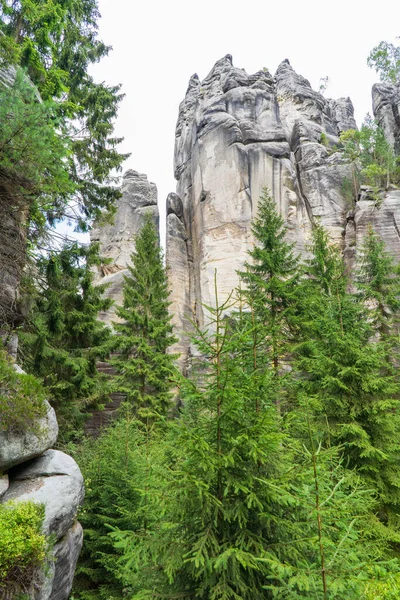 Adrspach国家公园 Teplice岩石 岩石镇 捷克共和国 — 图库照片