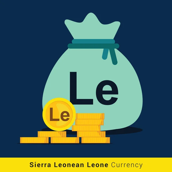 Sierra Leonean Leone geld tas pictogram met teken — Stockvector