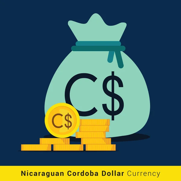 Nicaragua Cordoba Dollaro Soldi borsa icona con segno — Vettoriale Stock