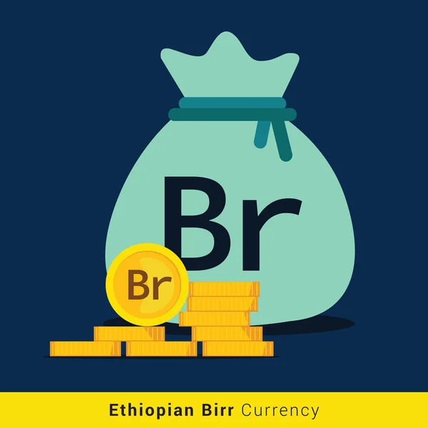 Ethiopische birr geld tas pictogram met teken — Stockvector