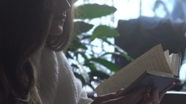 Menina Leitura Livro Café Sorrindo Para Câmera Steadycam Tiro — Vídeo de Stock