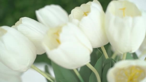 Tulipes blanches 4K dans un vase 