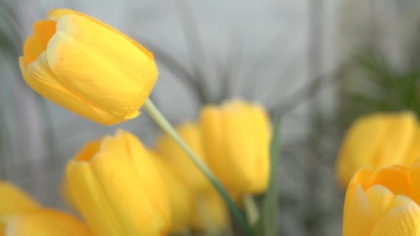 Bouquet 4K de tulipes jaunes 