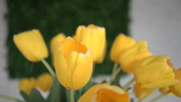 Bouquet Tulipes Jaunes — Video