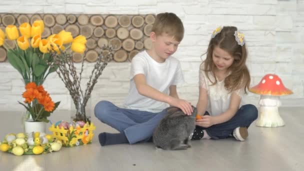 Niño Chica Jugando Con Gris Conejo — Vídeos de Stock