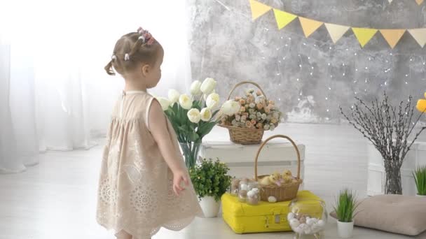 Linda Niña Jugando Con Patitos Pollos — Vídeos de Stock