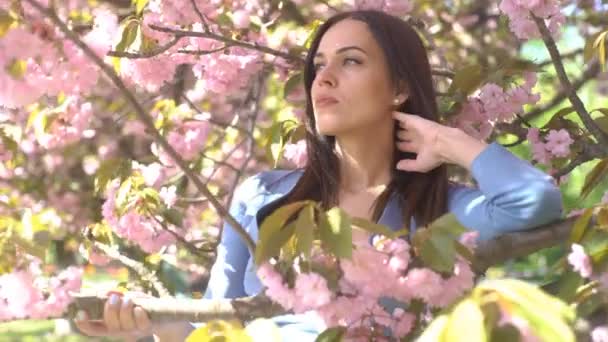 Beleza Jovem Mulher Desfrutando Natureza Primavera Cereja Orchard Happy Bonito — Vídeo de Stock