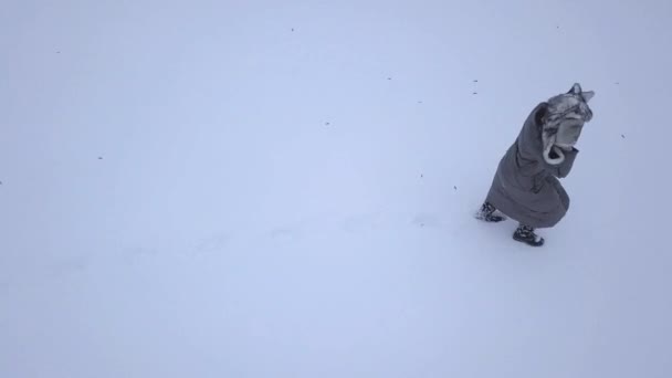 空中拍摄 活跃女孩走在路径在冬季雪森林 — 图库视频影像