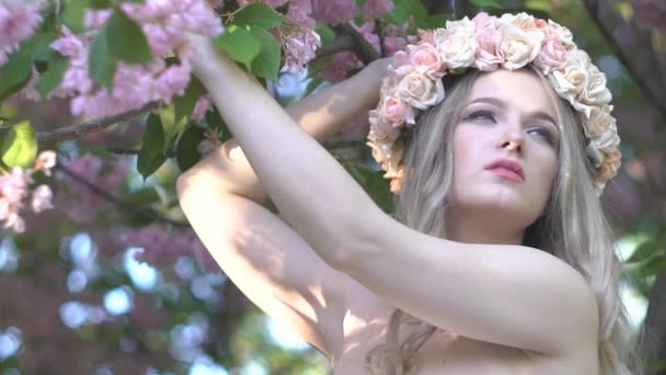 Krásná Dívka Mezi Třešňovými Květy Sakura Tree Jaro Růžové Květiny — Stock video