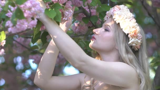 Hermosa Chica Entre Flor Cerezo Sakura Árbol Primavera Flores Rosadas — Vídeo de stock