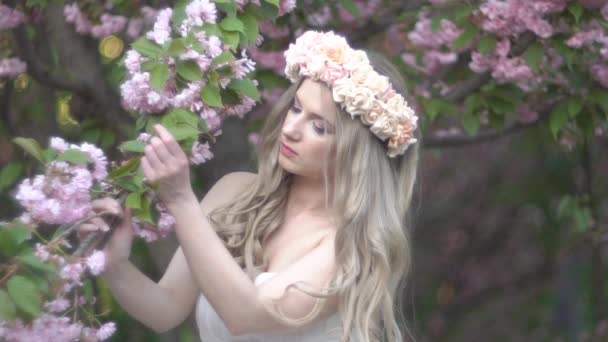 Belleza Mujer Joven Disfrutando Naturaleza Primavera Cereza Orchard Happy Hermosa — Vídeo de stock