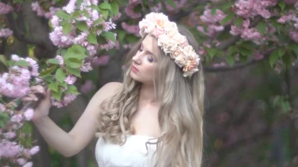 Belleza Mujer Joven Disfrutando Naturaleza Primavera Cereza Orchard Happy Hermosa — Vídeo de stock