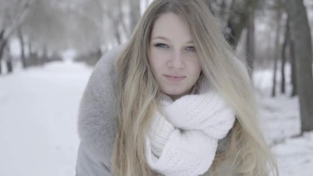 Відео Жінки Теплому Одязі Йде Зимовому Лісі Топ Вейв — стокове відео