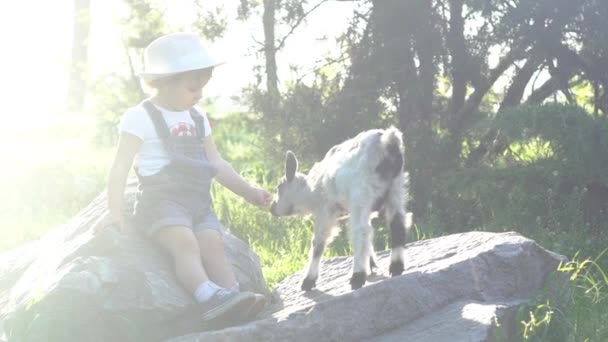 Vrolijke Meisje Kinderboerderij Schattige Kleine Kid Geit Zoek Naar Aandacht — Stockvideo