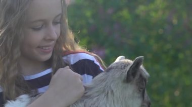 Keçi Ile tatlı küçük kız