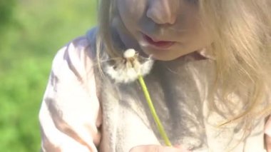Kız bir Dandelion Için üfleme