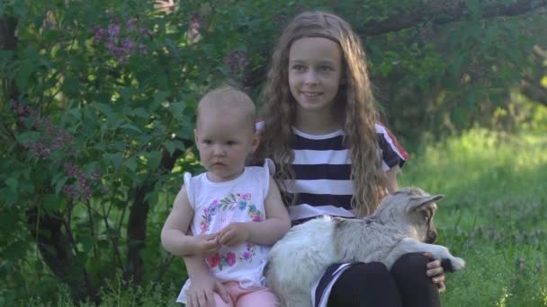 Familias Visitando Una Granja Comunitaria Niñas Hermanas Acariciando Cabra Linda — Vídeo de stock