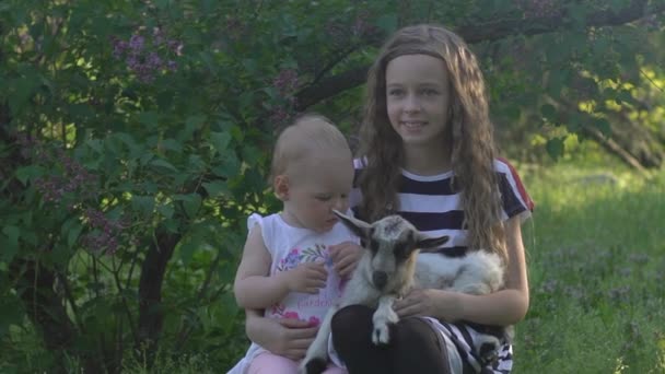 家庭访问社区农场 女孩姐妹抚摸可爱的山羊 — 图库视频影像